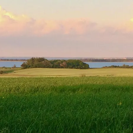 Pallisgaard Bed & Breakfast *